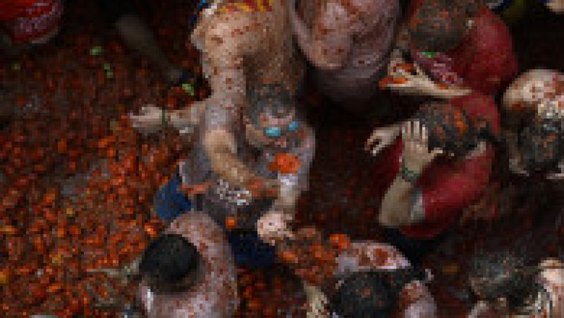 Cea mai "murdară" petrecere de pe planetă are loc anual în Spania, la Buñol. FOTO: Profimedia Images | Poza 12 din 15