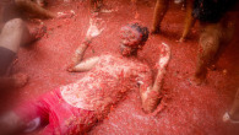 Cea mai "murdară" petrecere de pe planetă are loc anual în Spania, la Buñol. FOTO: Profimedia Images | Poza 15 din 15