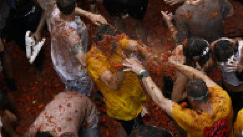 Cea mai "murdară" petrecere de pe planetă are loc anual în Spania, la Buñol. FOTO: Profimedia Images | Poza 5 din 15