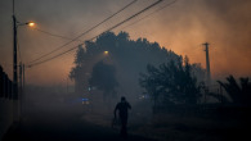 Un sătean cară o creangă în timp ce un incendiu de vegetație se apropie de satul Zambujeiro din Cascais (Portugalia), 25 iulie 2023. Foto: Profimedia Images | Poza 3 din 7
