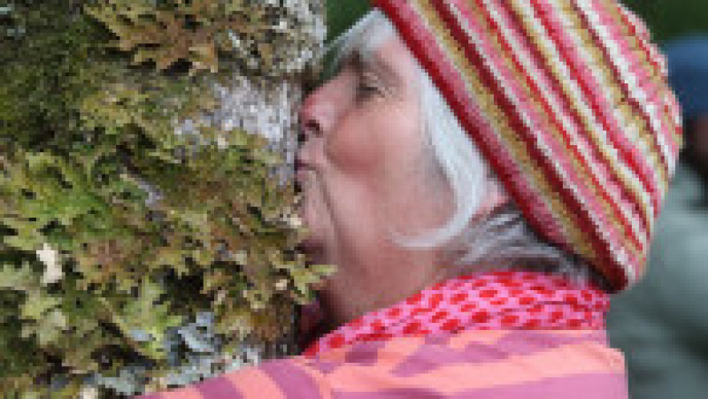 Kathie Griffiths, participantă la concursul de îmbrățișat copaci din Scoția
Sursa foto: Profimedia Images | Poza 4 din 6