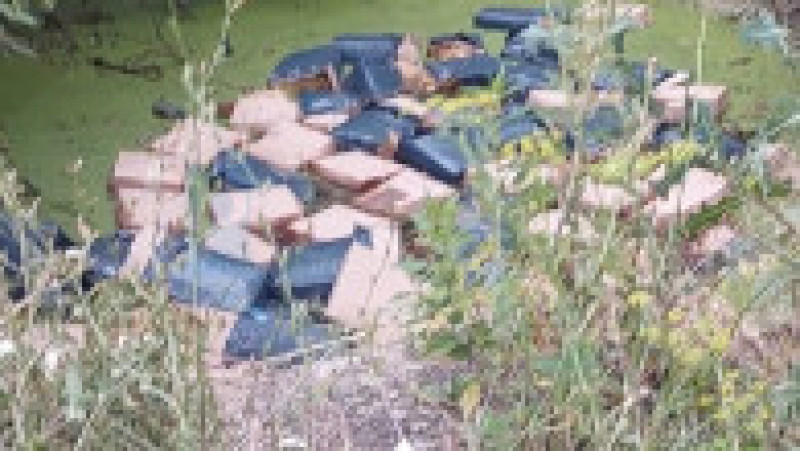 Zeci de cutii pline cu paie au fost aruncate într-un lac de lângă Satu Mare. Sursa foto: Presa SM | Poza 2 din 4