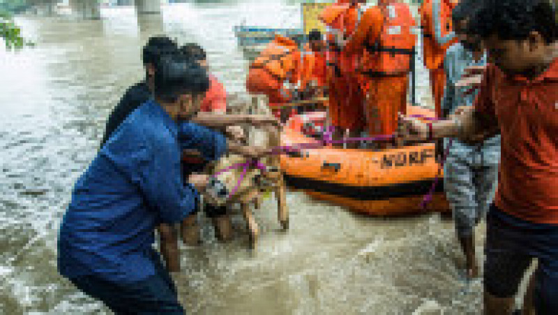 Cel puţin 49 de persoane au murit în India, dintre care nouă în urma surpării unui templu, în urma unor inundaţii masive şi alunecări de teren devastatoare. Foto: Profimedia | Poza 11 din 11
