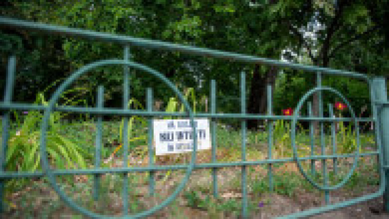 Grădina Botanică din București, august 2023 | Poza 1 din 68