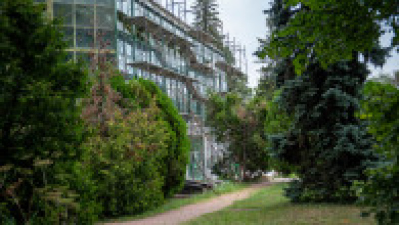 Grădina Botanică din București, august 2023 | Poza 57 din 68