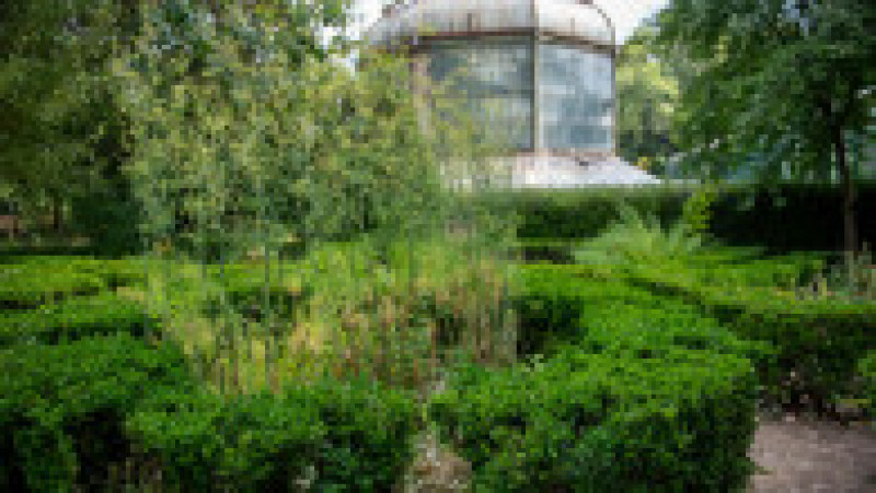 Grădina Botanică din București, august 2023 | Poza 53 din 68