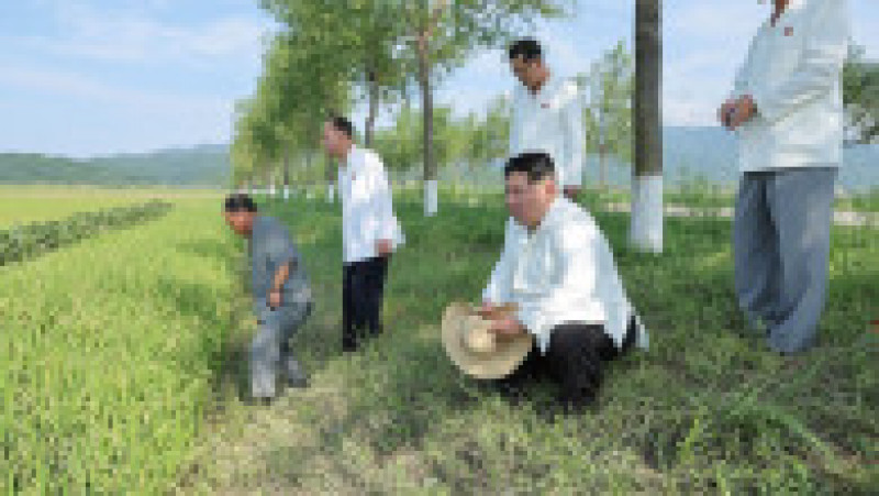 Liderul nord-coreean Kim Jong Un a vizitat ferme afectate de furtuna Khanun. FOTO: Profimedia Images | Poza 6 din 7