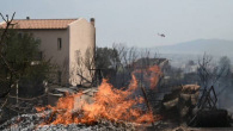 Patru piromani au fost reținuți în Grecia. Incendiile au scăpat de sub control la nord de Atena. FOTO: Profimedia Images | Poza 18 din 21
