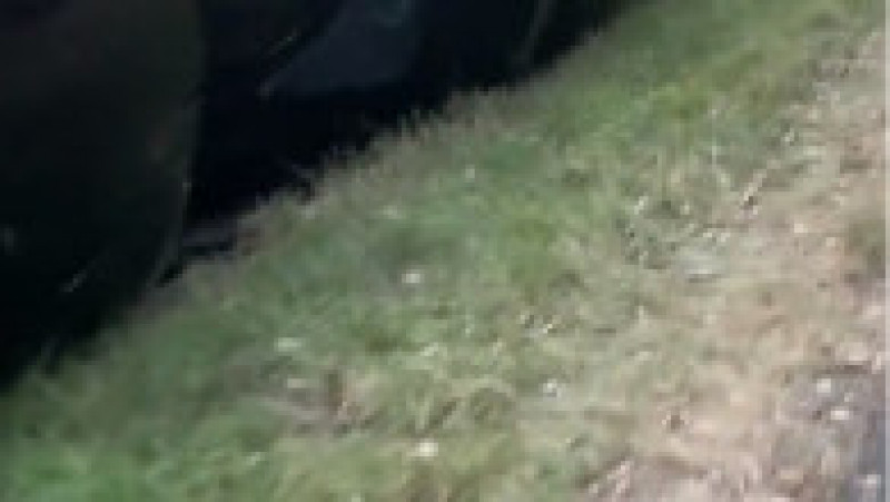 Pagube de milioane după ce un trailer auto încărcat cu mașini Aston Martin și Lamborghini s-a răsturnat pe un drum, în Anglia FOTO: captură video Twitter/ Kent 999s | Poza 9 din 9