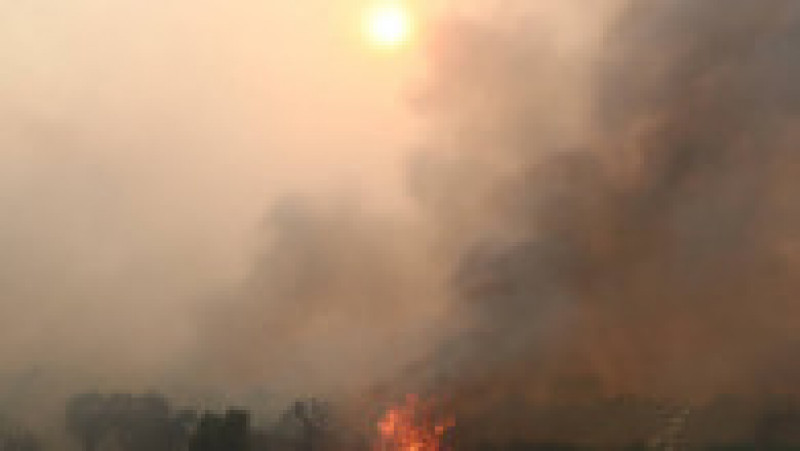 Incendiul de vegetaţie din nord-estul Greciei, care a început în apropiere de oraşul Alexandroupolis, este „cel mai mare înregistrat pe teritoriul european în ultimii ani”. FOTO: Profimedia Images | Poza 7 din 7