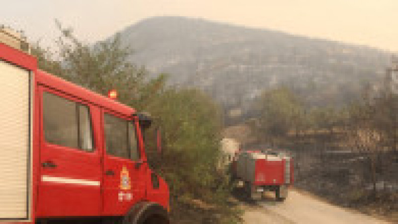 Incendiul de vegetaţie din nord-estul Greciei, care a început în apropiere de oraşul Alexandroupolis, este „cel mai mare înregistrat pe teritoriul european în ultimii ani”. FOTO: Profimedia Images | Poza 8 din 10