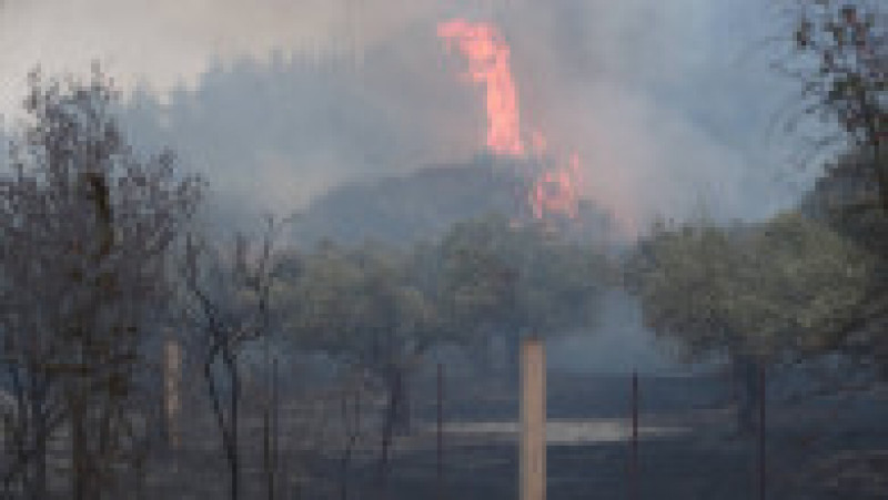 Incendiul de vegetaţie din nord-estul Greciei, care a început în apropiere de oraşul Alexandroupolis, este „cel mai mare înregistrat pe teritoriul european în ultimii ani”. FOTO: Profimedia Images | Poza 6 din 7