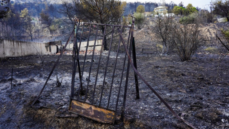 Incendiile din nordul Greciei au produs cel mai mare dezastru din UE. FOTO Profimedia Images