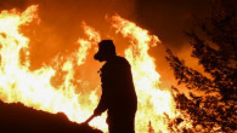 Schimbările climatice agravează incendiile devastatoare din Grecia, a avertizat premierul, în timp ce incendiul din Evros continuă să ardă. FOTO: Profimedia Images | Poza 5 din 9