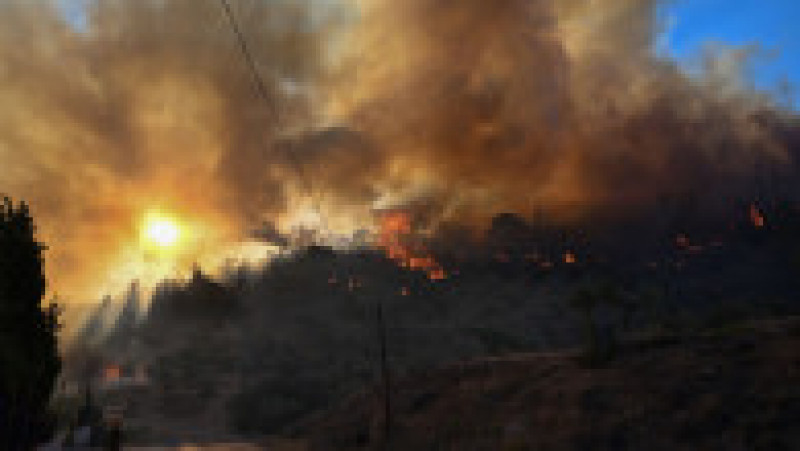 Grecia arde din nou. Doi oameni au murit în urma incendiilor. FOTO: Profimedia Images | Poza 7 din 9