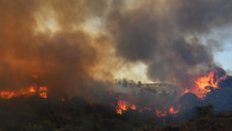 Grecia arde din nou. Doi oameni au murit în urma incendiilor. FOTO: Profimedia Images | Poza 4 din 9