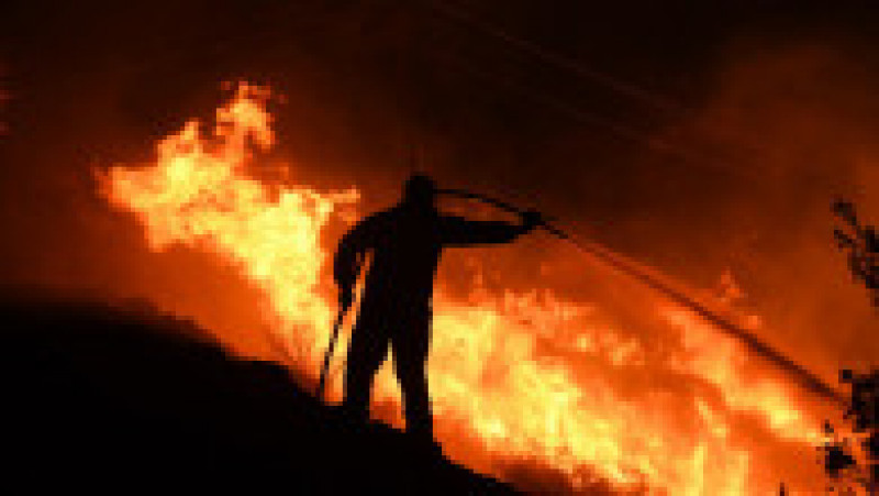 Grecia arde din nou. Doi oameni au murit în urma incendiilor. FOTO: Profimedia Images | Poza 3 din 9