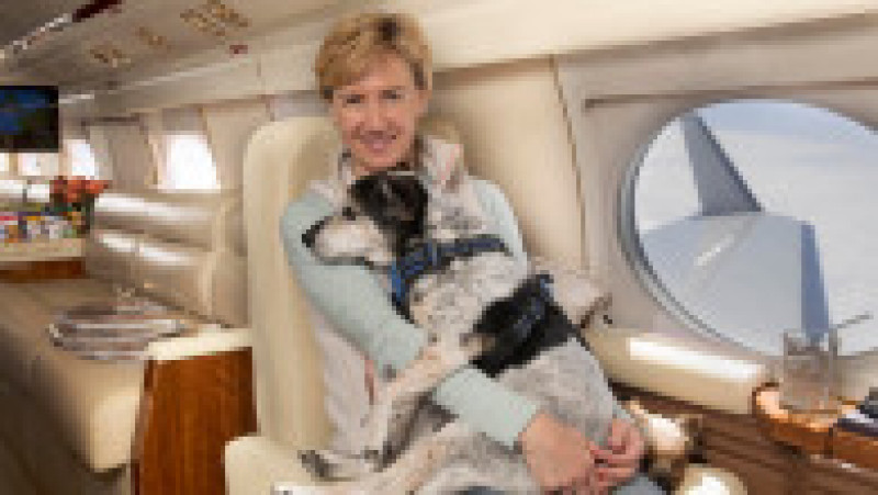 Un serviciu de zbor exclusivist pentru bogații care vor să călătorească în avion cu câinii lor a fost lansat pe ruta Dubai-Londra. FOTO: Facebook K9 Jets | Poza 13 din 16