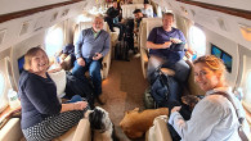 Un serviciu de zbor exclusivist pentru bogații care vor să călătorească în avion cu câinii lor a fost lansat pe ruta Dubai-Londra. FOTO: Facebook K9 Jets | Poza 15 din 16