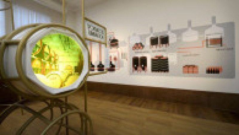 Belgia, ţară cu o populaţie de 11,5 milioane de locuitori, numără pe teritoriul său 430 de fabrici de bere, care asigură 6.900 de locuri de muncă directe şi 50.000 indirecte. FOTO: Profimedia Images | Poza 18 din 23