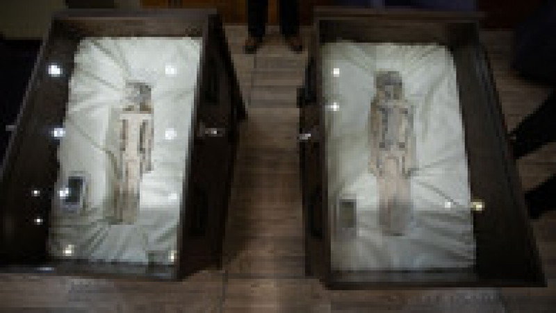 Cele două „mumii de extratereștri” prezentate în fața deputaților mexicani. Foto: Profimedia Images | Poza 3 din 12