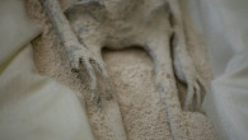 Una dintre „mumiile de extratereștri” prezentate în Congresul mexican în timpul primei audieri pe tema OZN-urilor organizată în Mexic. Foto: Profimedia Images | Poza 10 din 12