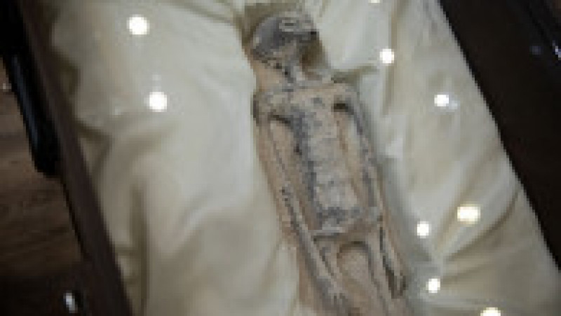 Una dintre „mumiile de extratereștri” prezentate în Congresul mexican în timpul primei audieri pe tema OZN-urilor organizată în Mexic. Foto: Profimedia Images | Poza 8 din 12