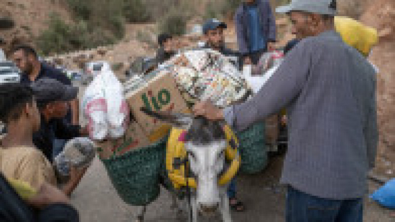 Voluntarii și salvatorii marocani, sprijiniți de echipe trimise din străinătate, încearcă să găsească posibili supraviețuitori, chiar dacă șansele sunt aproape nule. FOTO: Profimedia Images | Poza 6 din 19