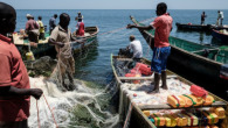 Pescari pe Insula Migingo, din Kenya, cea mai dens populată insulă din lume FOTO: Profimedia Images | Poza 26 din 38