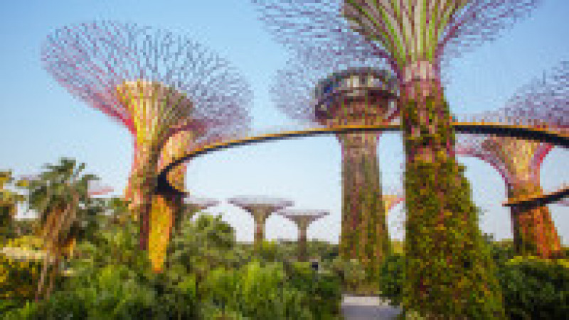 Gardens by the Bay din Singapore a fost creată pornind de la ideile de sustenabilitate, horticultură internațională și prezentare a unui „oraș într-o grădină”. Foto: Profimedia Images | Poza 27 din 41