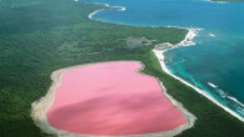 Culoarea roz a apei este dată de algele, bacteriile și microbii din lacul Hillier din Australia. Foto: Profimedia Images | Poza 13 din 41