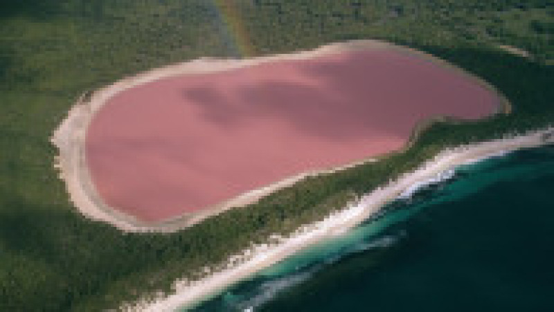 Culoarea roz a apei este dată de algele, bacteriile și microbii din lacul Hillier din Australia. Foto: Profimedia Images | Poza 12 din 41