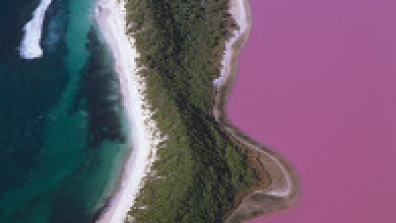 Culoarea roz a apei este dată de algele, bacteriile și microbii din lacul Hillier din Australia. Foto: Profimedia Images | Poza 14 din 41