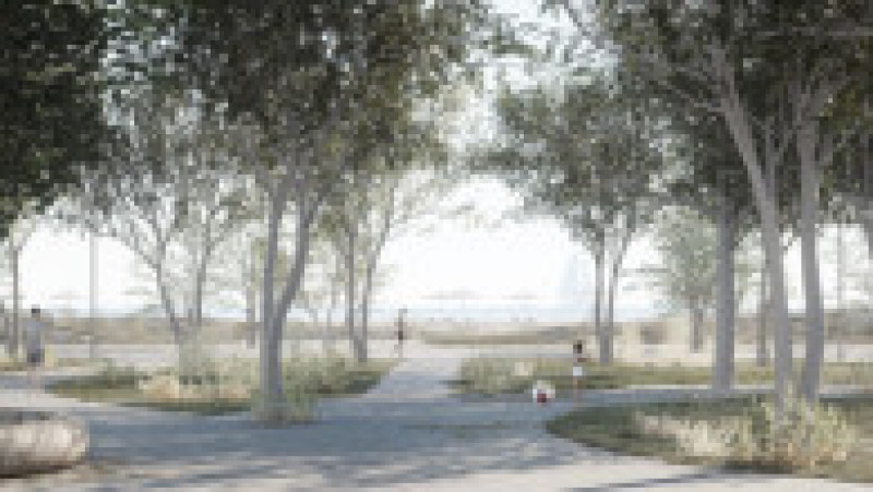 A fost stabilit proiectul pentru amenajarea plajei din Mamaia. Foto: Administratia Nationala Apele Romane | Poza 2 din 6