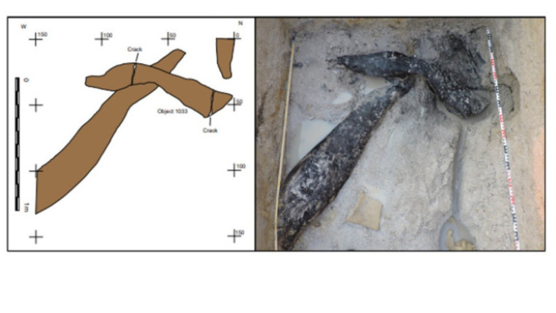 Cea mai veche structură din lemn descoperită vreodată, datând de aproape 500.000 de ani, a fost extrasă de arheologi din albia unui râu din Zambia. Foto: Profimedia