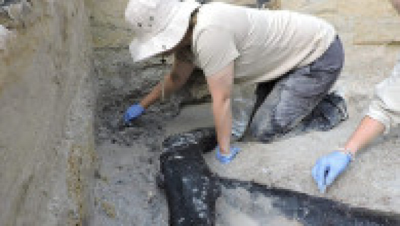 Cea mai veche structură din lemn descoperită vreodată, datând de aproape 500.000 de ani, a fost extrasă de arheologi din albia unui râu din Zambia. Foto: Profimedia | Poza 5 din 6