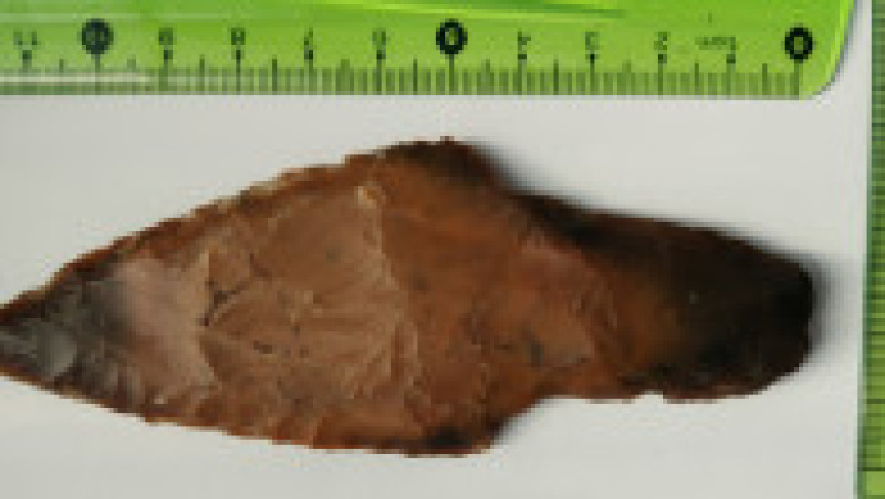 Sursa foto: Lubelski Wojewódzki Konserwator Zabytków / Facebook | Poza 1 din 5