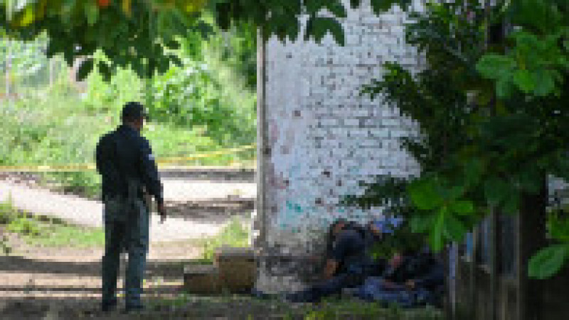 Cel puţin treisprezece poliţişti au fost ucişi într-un atac armat, luni, într-o regiune din sudul Mexicului, potrivit parchetului regional. FOTO: Profimedia Images | Poza 2 din 5