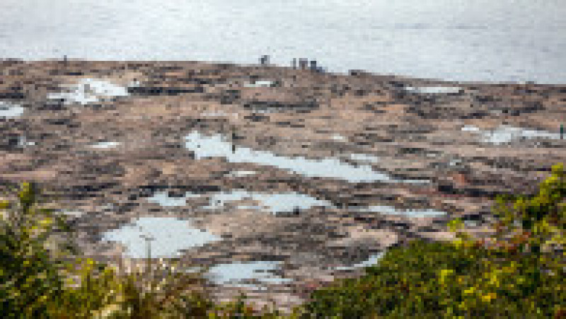 Apa din Rio Negro a scăzut cu 15 metri din luna iulie și a expus zone mari de rocă și nisip acolo unde înainte nu era nicio plajă. Foto: Profimedia Images | Poza 10 din 14