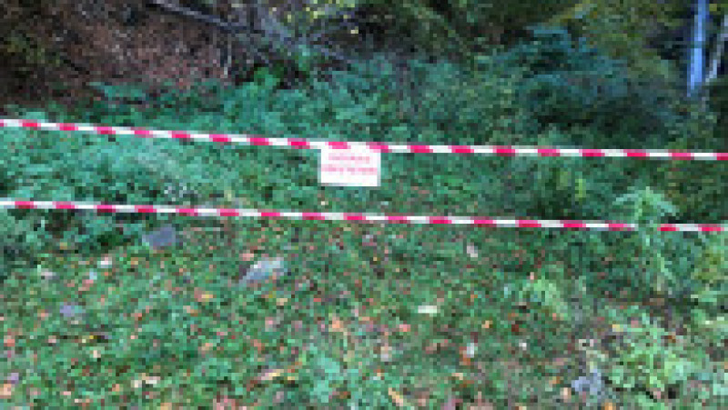 Un spectator aflat într-o zonă interzisă a fost lovit de o mașină de raliu la Trofeul Câmpulung Muscel. Sursa foto: Profimedia Images | Poza 4 din 7