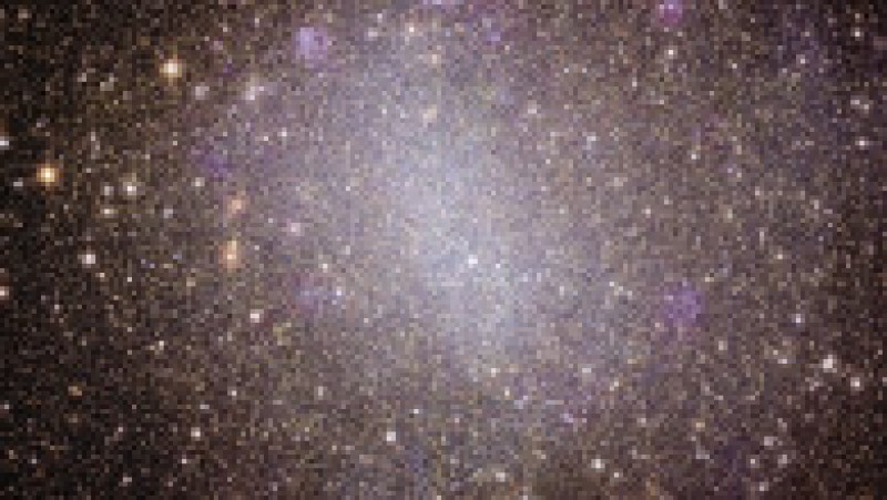 Primele imagini ale „Universul întunecat” făcute de telescopul Euclid. Foto: Profimedia | Poza 5 din 7