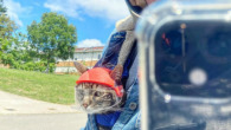 Un francez pasionat de ciclism și sporturi extreme și-a găsit un companion neobișnuit pentru aventurile lui - o pisică FOTO: Profimedia Images | Poza 25 din 48