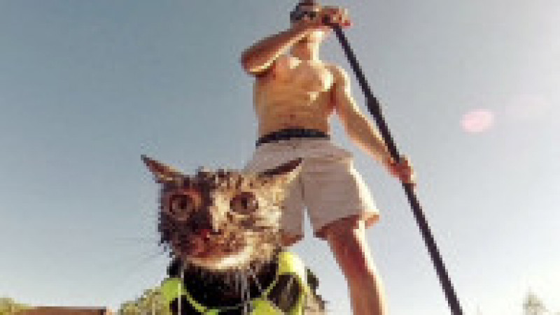 Un francez pasionat de ciclism și sporturi extreme și-a găsit un companion neobișnuit pentru aventurile lui - o pisică FOTO: Profimedia Images | Poza 16 din 48