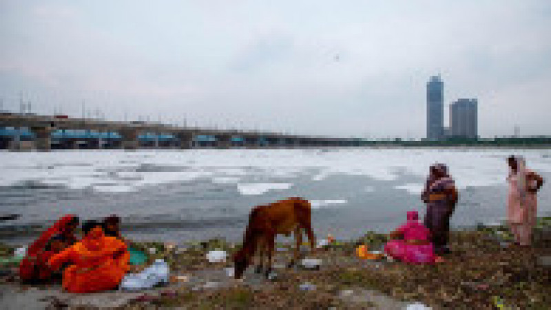 Spuma toxică a acoperit un râu sacru din India. FOTO: Profimedia Images | Poza 15 din 15