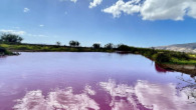 kealia apa roz6 | Poza 6 din 10