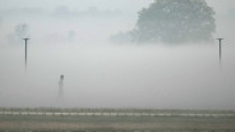 India, „sufocată” de o ceață toxică după festivalul luminilor. FOTO: Profimedia Images | Poza 1 din 7