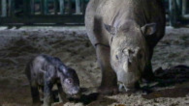 Foto: Profimedia Images | Poza 6 din 16