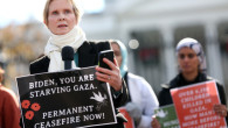 Cynthia Nixon cere un armistiţiu permanent în Gaza. Foto: Profimedia Images | Poza 13 din 16