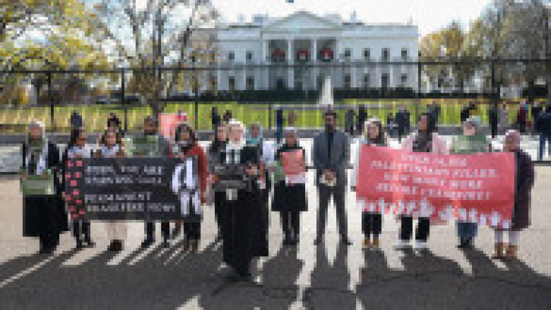 Cynthia Nixon cere un armistiţiu permanent în Gaza. Foto: Profimedia Images | Poza 15 din 16
