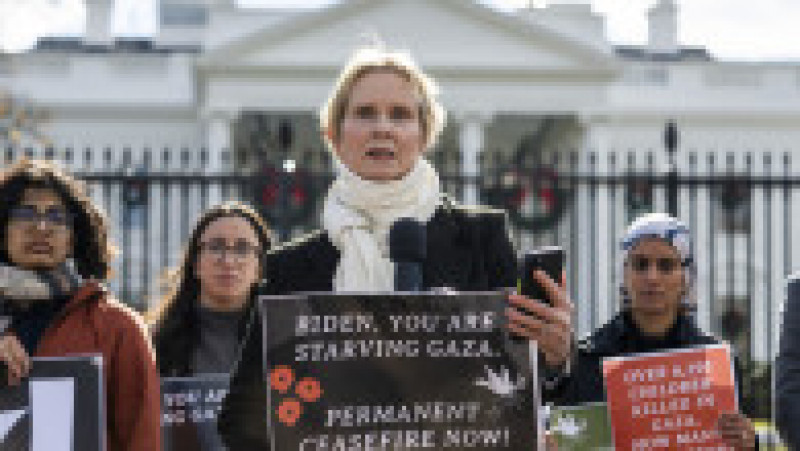 Cynthia Nixon cere un armistiţiu permanent în Gaza. Foto: Profimedia Images | Poza 7 din 16
